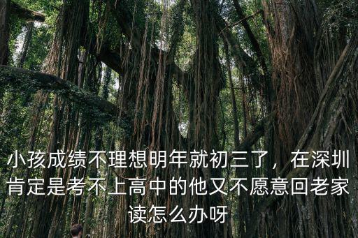 小孩成績不理想明年就初三了，在深圳肯定是考不上高中的他又不愿意回老家讀怎么辦呀