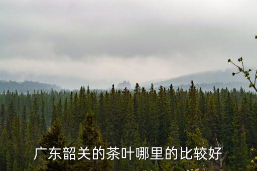 廣東韶關的茶葉哪里的比較好