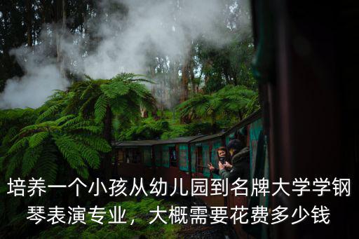 培養一個小孩從幼兒園到名牌大學學鋼琴表演專業，大概需要花費多少錢