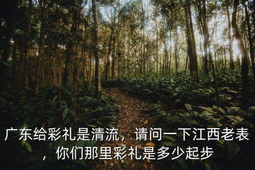 廣東給彩禮是清流，請問一下江西老表，你們那里彩禮是多少起步