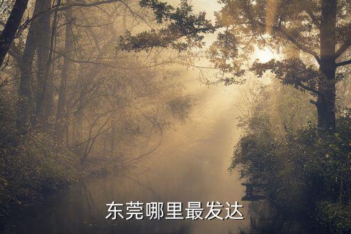 東莞哪里的金融業發達,東莞房地產投資前景如何