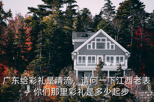 廣東陽西的彩禮是多少,廣東給彩禮是清流