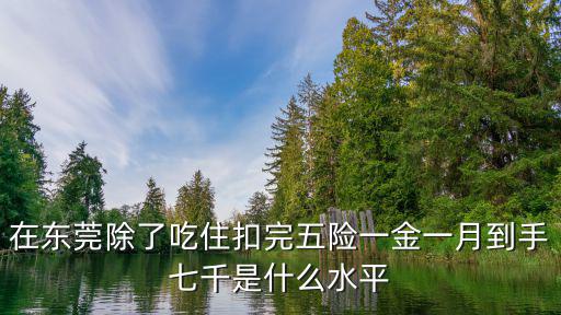 東莞6000扣五險一金剩多少,在東莞長安扣除五險一金