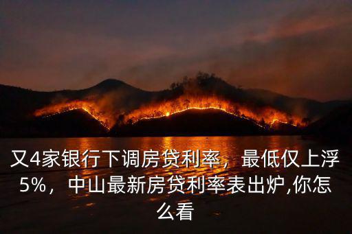 又4家銀行下調房貸利率，最低僅上浮5%，中山最新房貸利率表出爐,你怎么看