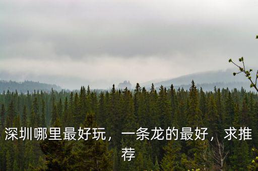 深圳哪里最好玩，一條龍的最好，求推薦