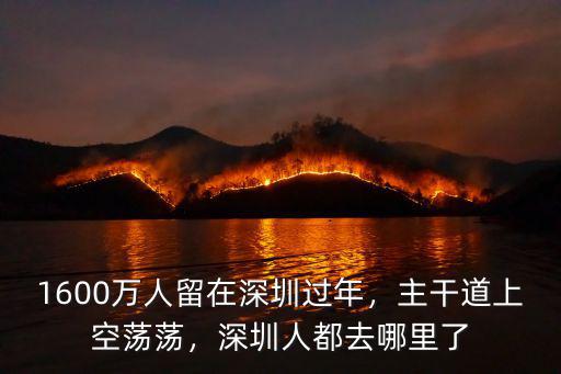 1600萬人留在深圳過年，主干道上空蕩蕩，深圳人都去哪里了