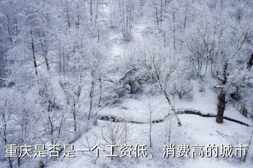 深圳與重慶哪里工資高,廣州與深圳的工資差別大嗎