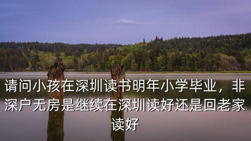 深圳小孩讀書是怎么分類的,小孩讀書是不是免費
