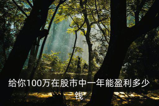 給你100萬在股市中一年能盈利多少錢