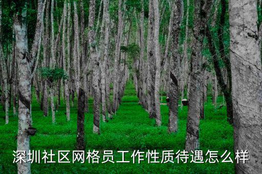 深圳社區網格員工作性質待遇怎么樣
