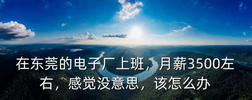 在東莞的電子廠上班，月薪3500左右，感覺沒意思，該怎么辦