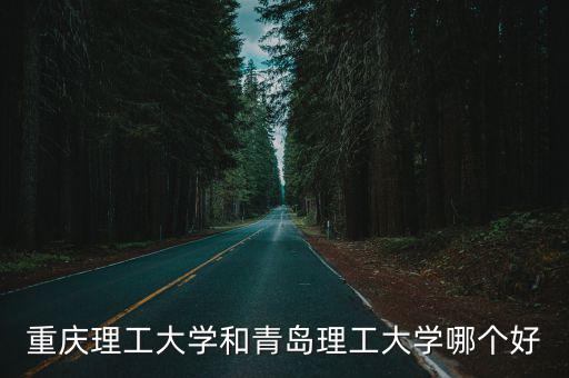 重慶理工大學(xué)和青島理工大學(xué)哪個(gè)好