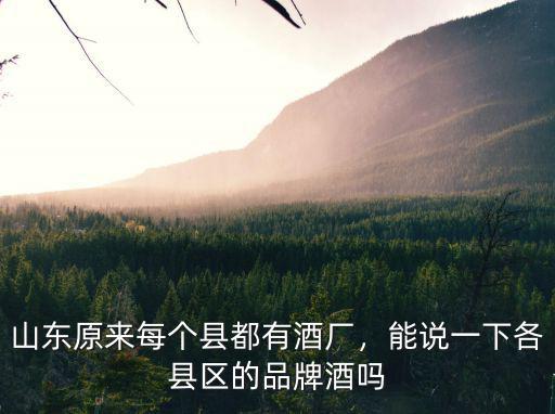 山東省酒廠有多少,山東的酒廠為什么這么多