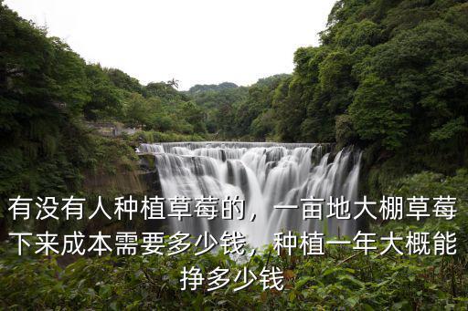 有沒有人種植草莓的，一畝地大棚草莓下來成本需要多少錢，種植一年大概能掙多少錢