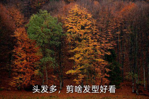 頭發(fā)多，剪啥發(fā)型好看
