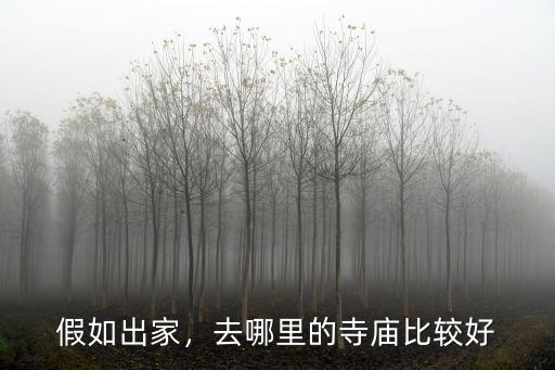 假如出家，去哪里的寺廟比較好