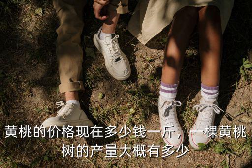 棗莊黃桃樹苗多少錢一棵,黃桃的價格現在多少錢一斤