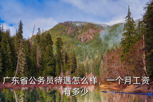 廣東省公務員待遇怎么樣，一個月工資有多少