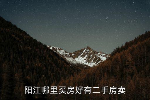 陽江哪里有賣二手書店,陽江哪里買房好