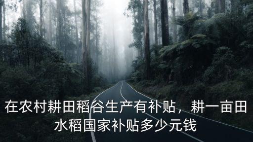 在農(nóng)村耕田稻谷生產(chǎn)有補(bǔ)貼，耕一畝田水稻國(guó)家補(bǔ)貼多少元錢