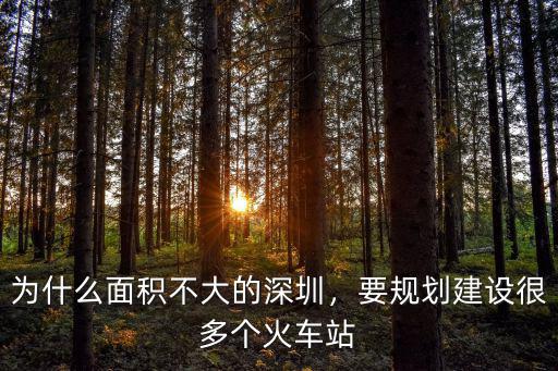 為什么面積不大的深圳，要規(guī)劃建設(shè)很多個(gè)火車站