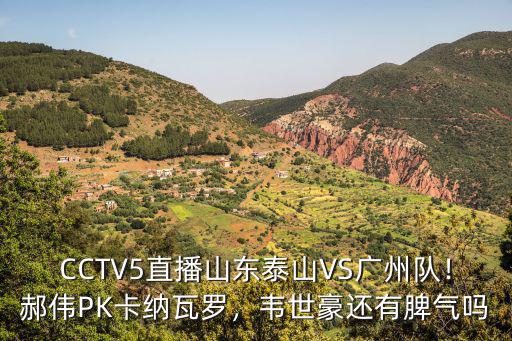 山東泰山和廣州隊(duì)比賽在哪里踢,就泰山隊(duì)和廣州隊(duì)的比賽