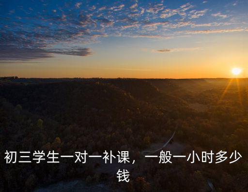 初三學生一對一補課，一般一小時多少錢