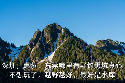 深圳，惠州，東莞哪里有野釣黑坑真心不想玩了，越野越好，最好是水庫