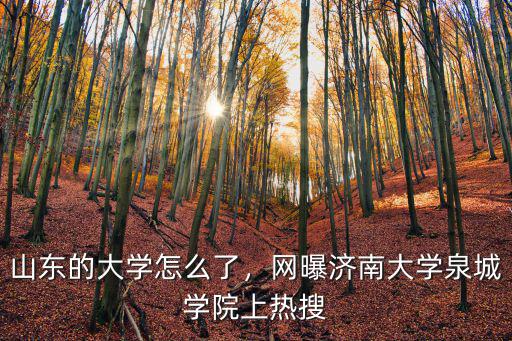 濟南大學泉城學院的教師工資多少,山東的大學怎么了