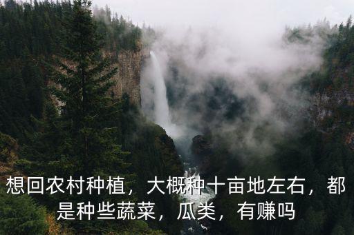 廣東兩畝地種植蔬菜能賺多少錢,種植蔬菜怎樣才能賺錢