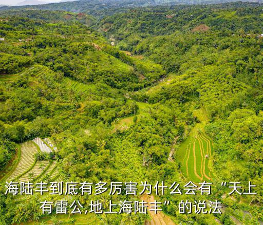 汕尾陸豐有多少個村,汕尾為什么叫汕尾