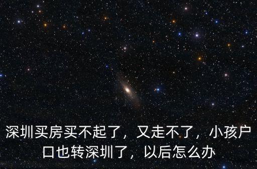 深圳一輩子買不起房子怎么辦,深圳買房買不起了