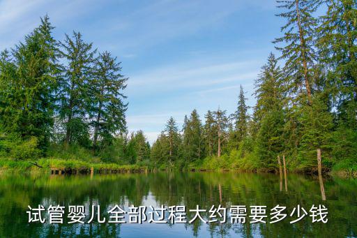 試管嬰兒全部過程大約需要多少錢