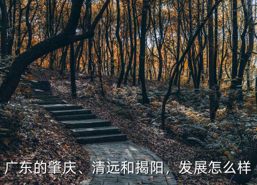 廣東的肇慶、清遠和揭陽，發展怎么樣