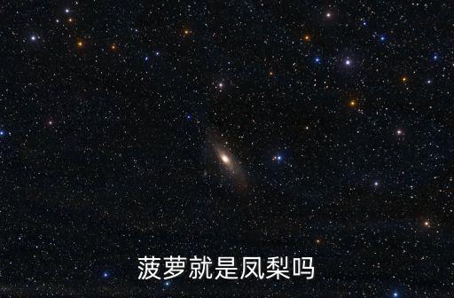 菠蘿就是鳳梨嗎