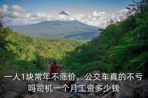 一人1塊常年不漲價，公交車真的不虧嗎司機一個月工資多少錢