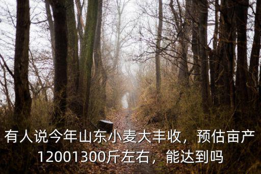 有人說今年山東小麥大豐收，預估畝產12001300斤左右，能達到嗎
