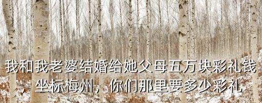 我和我老婆結(jié)婚給她父母五萬塊彩禮錢，坐標(biāo)梅州，你們那里要多少彩禮