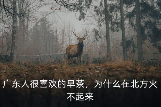 廣東人很喜歡的早茶，為什么在北方火不起來