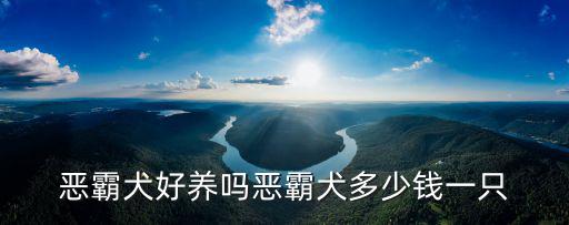 深圳惡霸犬幼崽多少錢一只,惡霸犬好養(yǎng)嗎
