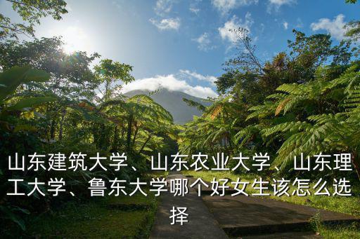 山東農業大學校車多少錢,山東理工大學