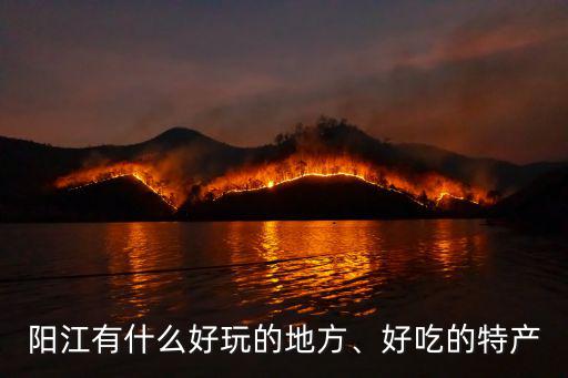 陽江蠔蟹哪里最好吃,廣東哪個城市的海鮮最好吃