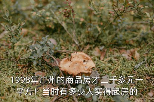廣州地產有多少,廣州有多少人擁有兩套房