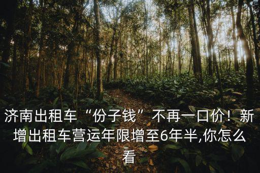 怎么預約濟南出租車電話號碼是多少錢,濟南出租車份子錢不再一口價