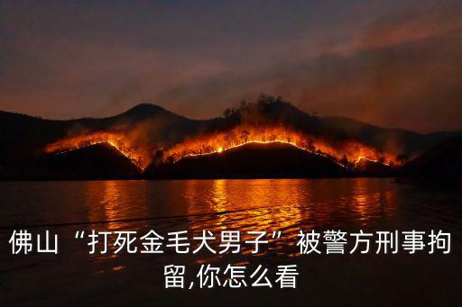 佛山“打死金毛犬男子”被警方刑事拘留,你怎么看