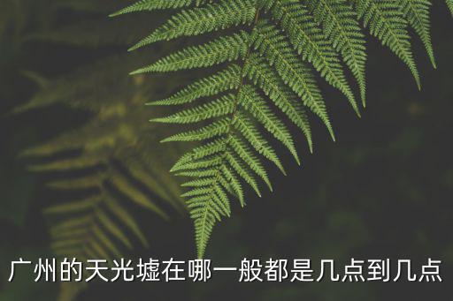 廣州天光墟在哪里的,廣州的天光墟是什么