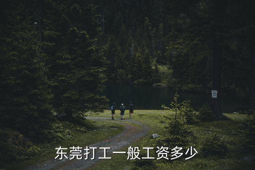東莞廠妹打工工資多少,東莞打工一般工資多少