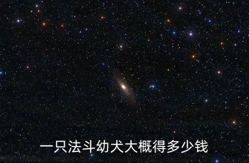 一只法斗幼犬大概得多少錢
