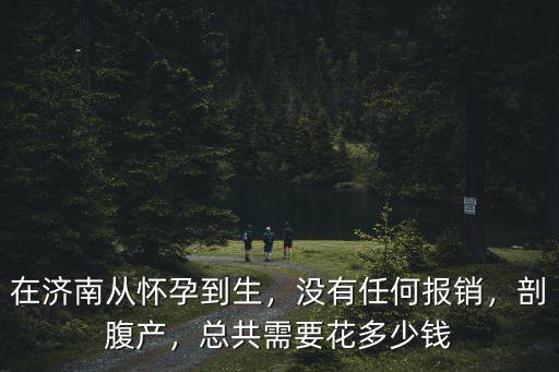 在濟南從懷孕到生，沒有任何報銷，剖腹產，總共需要花多少錢