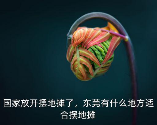 東莞哪里有擺地攤貼手機膜的,東莞有什么地方適合擺地攤